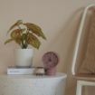 ИКЕА Искусственное комнатное растение FEJKA, 905.596.54 - Home Club, изображение 3