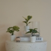 ИКЕА Горшок для искусственных растений+дон кпл. 3s FEJKA, 305.596.47 - Home Club, изображение 2