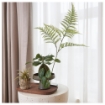 ИКЕА Искусственное комнатное растение FEJKA, 205.599.64 - Home Club, изображение 7