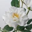 ИКЕА Искусственный цветок SMYCKA СМИККА, 905.601.48 - Home Club, изображение 4