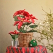 ИКЕА Искусственное комнатное растение VINTERFINT, 605.621.39 - Home Club, изображение 4