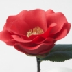 ИКЕА Искусственный цветок SMYCKA СМИККА, 505.717.90 - Home Club, изображение 4