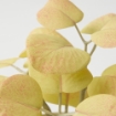 ИКЕА Искусственное растение 3 шт FEJKA ФЕЙКА, 605.824.77 - Home Club, изображение 6