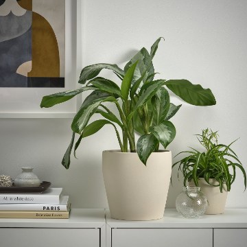 ИКЕА Горшок PERSILLADE ПЕРСИЛЛАДЕ, 506.067.99 - Home Club