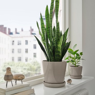 Серія KLOTLÖNN IKEA - Home Club