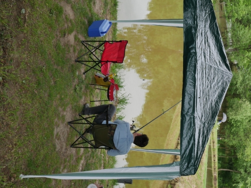 Garden Line Павильон Садовый Палатка Зеленый 2,5 X 2,5 М 18/18/18 мм, TUN5767 - Home Club