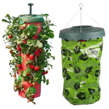 Garden Line Подвесной горшок для помидоров/клубники - 10 отверстий, LAR1886 - Home Club