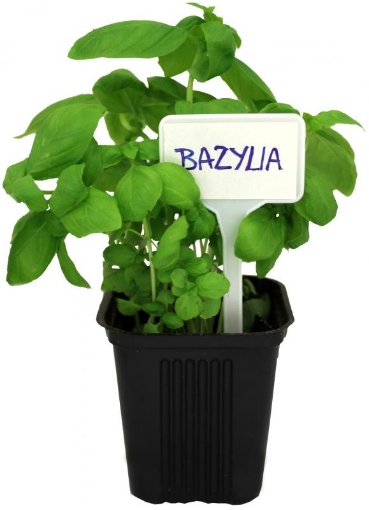 Garden Line 30 пластиковых табличек для описания растений, LAR9683 - Home Club