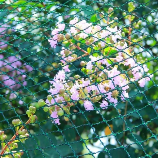 Garden Line Сетка Для Защиты От Птиц 6x10 м (30 г/м²) + 6 пластиковых штифтов, JAW9783 - Home Club