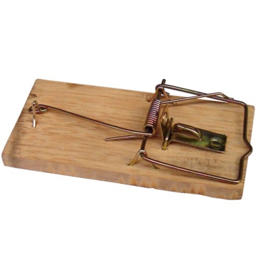 Chomik Дерев'Яна Мишельна Пастка /Ros/, ROS235 - Home Club