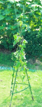 Garden Line Подпорка для растений, томатов 11 мм x 180 см, EVA8204 - Home Club