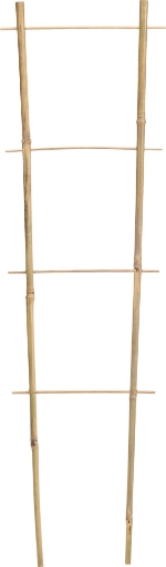 Garden Line Двойная бамбуковая лестница 45 см, BAM3137 - Home Club