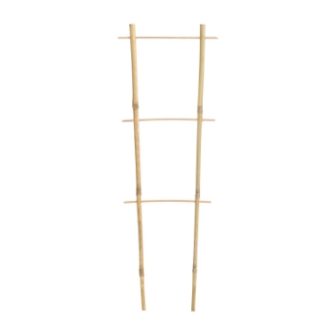 Garden Line Двойная бамбуковая лестница 45 см, BAM3137 - Home Club