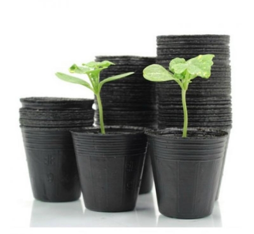 Garden Line 100 Штук Горшков Для Растений 6 x 5,8 См, JAW9430 - Home Club