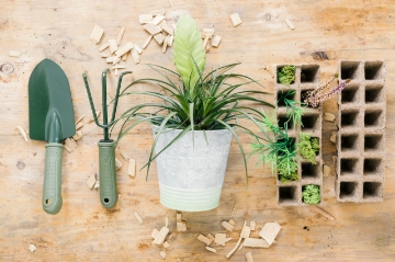 Garden Line Кпл. 4 Шт. Палети Для Горщиків З Торфом 27,5 x 9 x 5 См, EDA4496 - Home Club