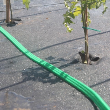 Garden Line Шланг Для Полива 15 М, EDA4150 - Home Club