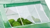Garden Line Небольшая оранжерея для сада, зеленая, 180 x 140 x H94 см, TUN5514 - Home Club, изображение 5