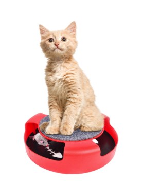 Chomik Игрушка для кошки с мышкой 25 x 25 x 7 см, CAT0526 - Home Club