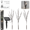 Garden Line Солнечная Лампа H 60 Cm 3 Ветки 60 Led Теплый Белый, SOL6094 - Home Club