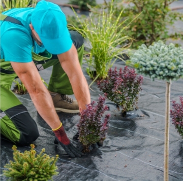 Garden Line Агротканина Для Покриття Ґрунту, Захист Від Бур'Янів, Уф-Захист, Чорна, 1,6 x 50 М, 135 г/м2, AGO6438 - Home Club