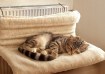 Chomik Кошачье ложе для радиатора 46 x 30 x 25 см, PET9448 - Home Club, изображение 9
