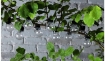Garden Line Солнечная гирлянда для сада, длина 2 + 1,8 м, 10 светодиодов, теплый белый свет, SOL3583 - Home Club, изображение 4