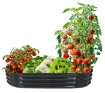 Garden Line Овощная и цветочная грядка 240 x 120 x 30 см, овальная, антрацитовая, ZAK8441 - Home Club, изображение 8