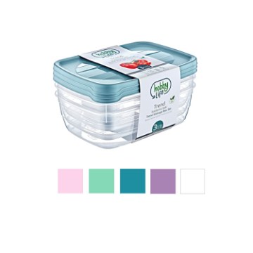 Hobby Life Набор из 3 прямоугольных контейнеров Trend Box 2L, HOB021017 - Home Club