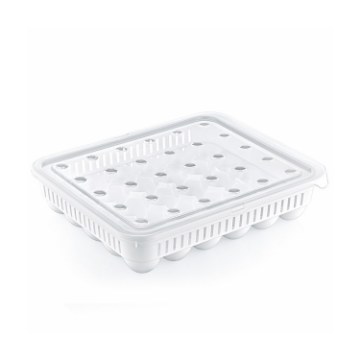 Hobby Life Прямокутний Контейнер Для Яєць, 30 Шт., HOB021053 - Home Club