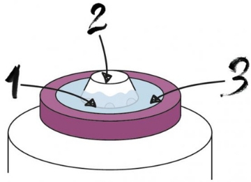 Chomik Многофункциональная емкость 18 л «Вино», WEL9821 - Home Club