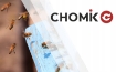 Chomik Пчеловодческая шляпа, BEE6587 - Home Club, изображение 3