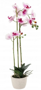 Chomik Искусственный цветок - бело-розовый орхидея 70 см, HID4771 - Home Club