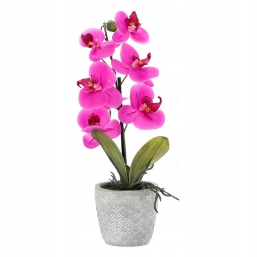 Chomik Искусственный цветок - розовый орхидея 35 см, HID4788 - Home Club