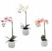 Chomik Штучна Квітка - Орхідея, 3 Кольори, 45 См, HID4856 - Home Club