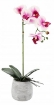 Chomik Штучна Квітка - Орхідея, 3 Кольори, 45 См, HID4856 - Home Club, зображення 2