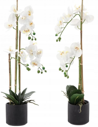 Chomik Искусственный цветок - белый орхидея 77 см, HID4764 - Home Club