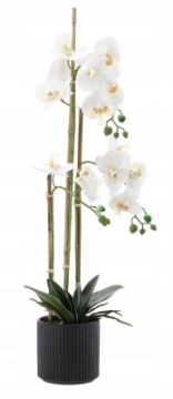 Chomik Искусственный цветок - белый орхидея 77 см, HID4764 - Home Club