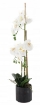 Chomik Искусственный цветок - белый орхидея 77 см, HID4764 - Home Club, изображение 3
