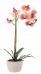 Chomik Штучна Квітка - Орхея Мікс 3 Кольорів 43 См, HID4801 - Home Club, зображення 2