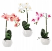 Chomik Искусственный цветок - орхидея, набор из 3 цветов, 42 см, HID4818 - Home Club