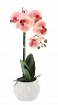 Chomik Искусственный цветок - орхидея, набор из 3 цветов, 42 см, HID4818 - Home Club, изображение 2