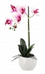 Chomik Искусственный цветок - орхидея, набор из 3 цветов, 42 см, HID4818 - Home Club, изображение 4