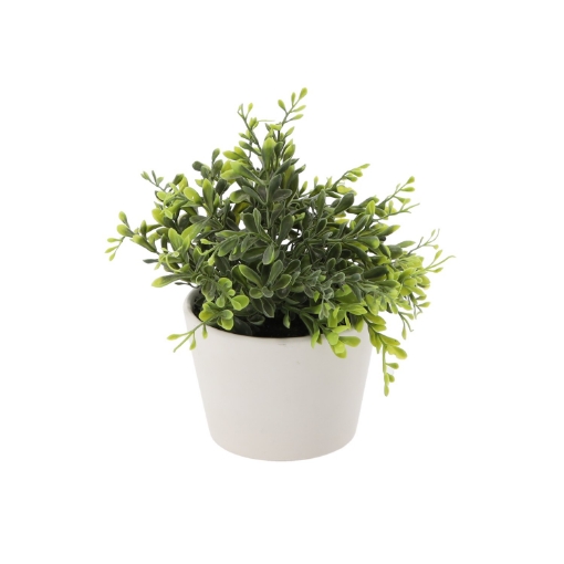 Chomik Штучна Рослина - Буксбум У Горщику, HID3320 - Home Club
