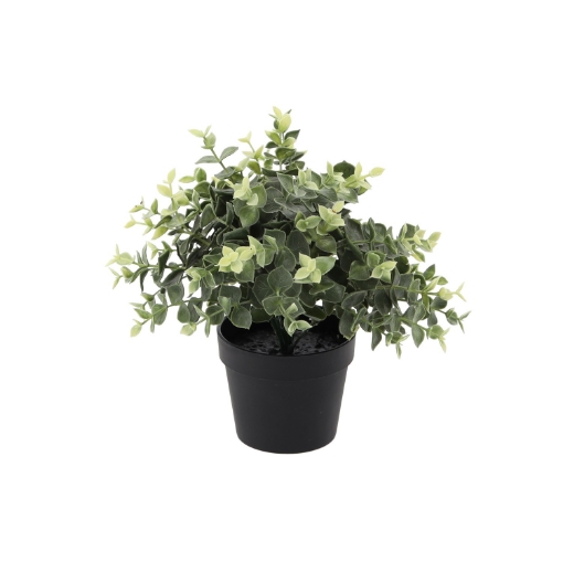 Chomik Искусственное растение - эвкалипт в горшке 22 см, HID3337 - Home Club