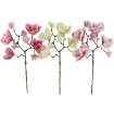 Chomik Искусственная ветка - магнолия 56 см, разноцветная, HID4007 - Home Club, изображение 2