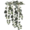 Chomik Искусственная ветка - плющ свисающий 120 см, HID2002 - Home Club