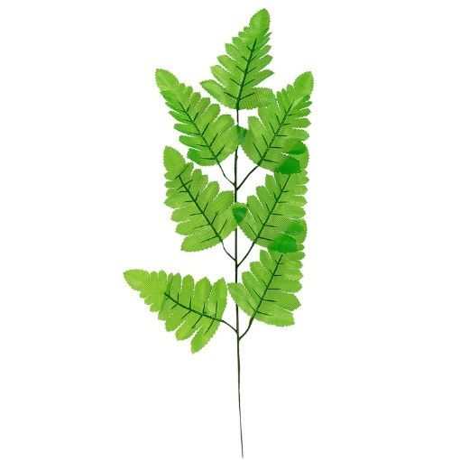 Chomik Лист папоротника на ветке, ARP9210 - Home Club