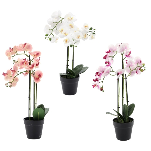 Chomik Штучна Квітка - Орхея Мікс 3 Кольорів 62 См, HID4863 - Home Club