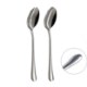 BackHome Living Набір ложок для салату 25,6 См, STA9005 - Home Club