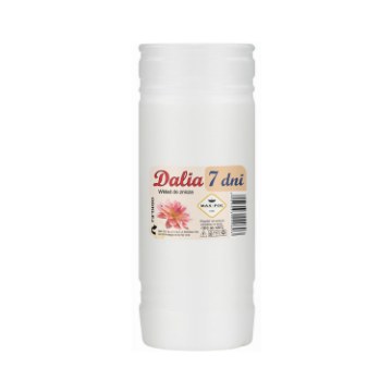 Chomik Kpl.10 Шт. Парафінових Вкладів Dalia 19 См/168 Г 2603, ZOZ2609 - Home Club